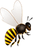 honey-img1.png