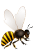 honey-img2.png