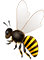 honey-img4.png
